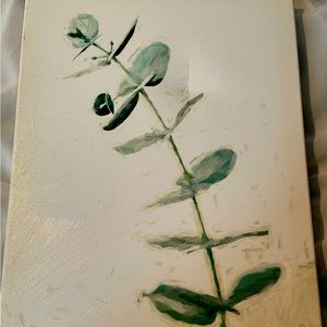 Eucalyptus canvas print. 13 x9 inches. NWT